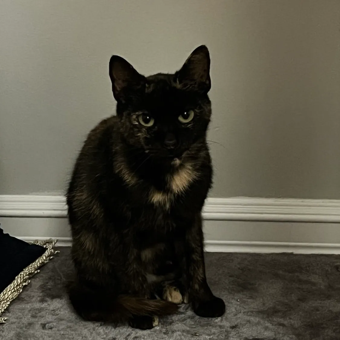 Tifa staring into your soul Tifa is tired of me..., tell me you wouldn't adopt her in a heartbeat.
